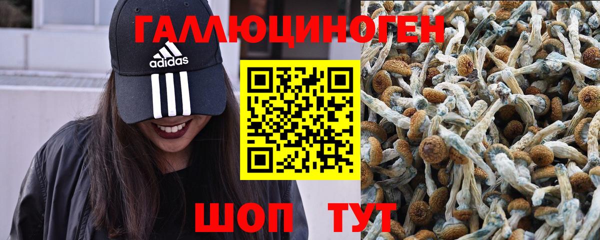 Лабинск  Галлюциногенные грибы прущие грибы  Вход с VPN 