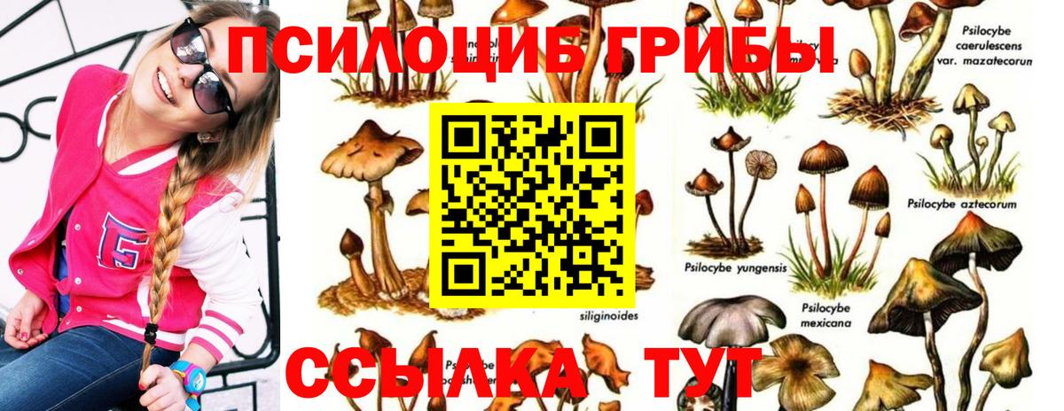 Псилоцибиновые грибы прущие грибы Лабинск